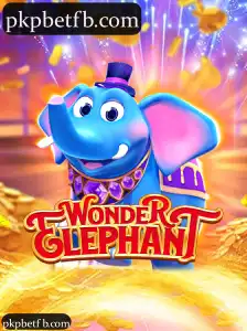 WonderElephant